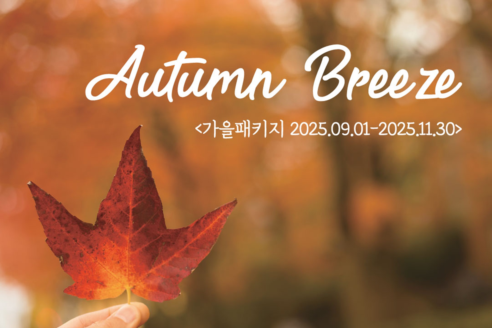 디럭스 트윈(Autumn Breeze PKG★내국인 전용 상품(외국인 예약 불가))