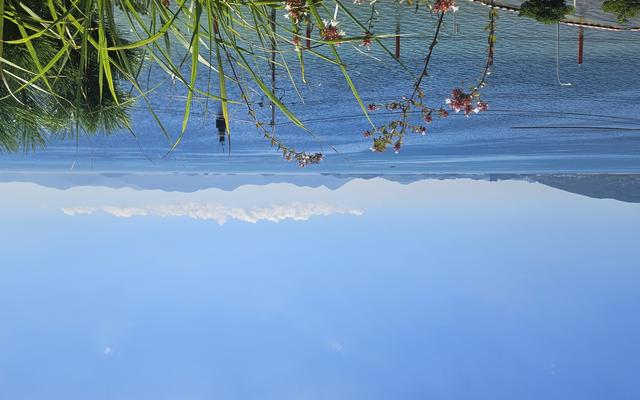 리뷰 대표 이미지