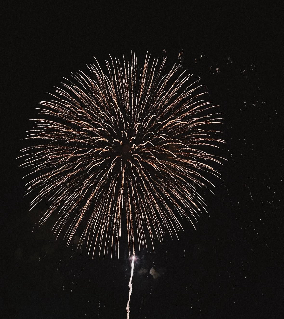  불꽃객실★  스탠다드 더블(초강력특가, 불꽃축제view패키지, 15시체크인,넷플릭스가능/개인ID필요)