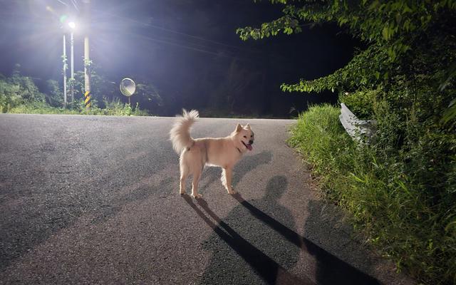 썸네일_6