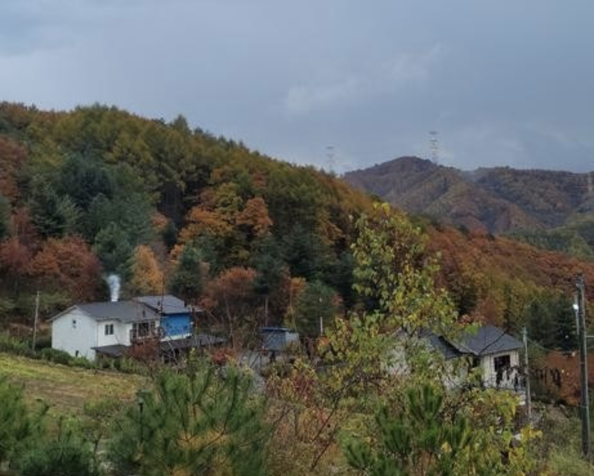 https://yaimg.yanolja.com/v5/2025/09/02/08/68b6a8b0c1bea2.61807464.jpg