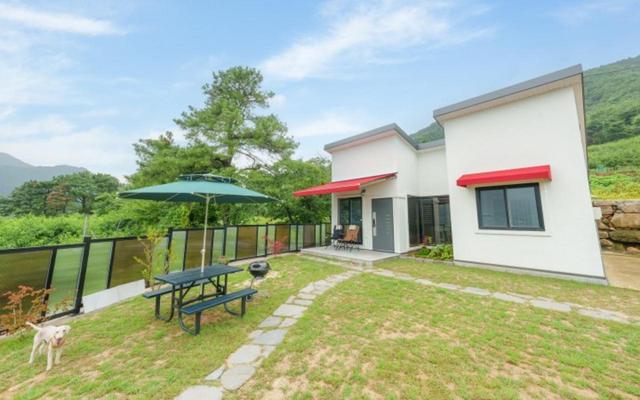 경산 스테이지이플애견펜션