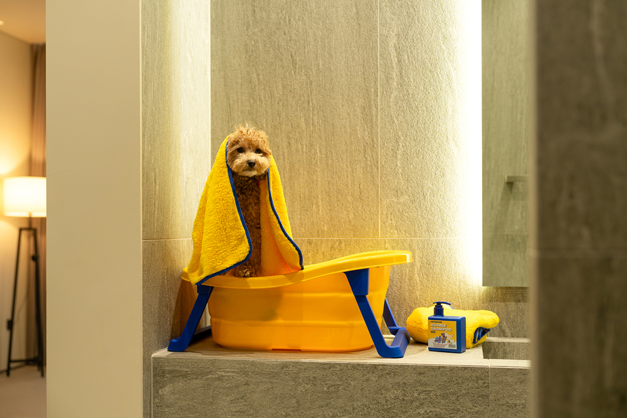 강아지동반 PKG(멍푸치노,애견세트(밥그릇, 패드),웰컴라운지,조식2인,인피니티풀2인)