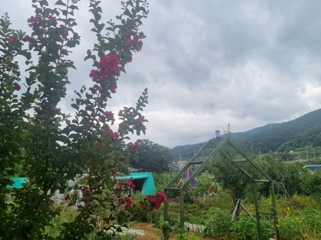 https://yaimg.yanolja.com/v5/2025/09/04/05/68b927b96107b2.53907564.jpg