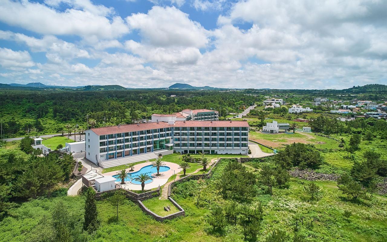 웨이브 제주 호텔&리조트 사진