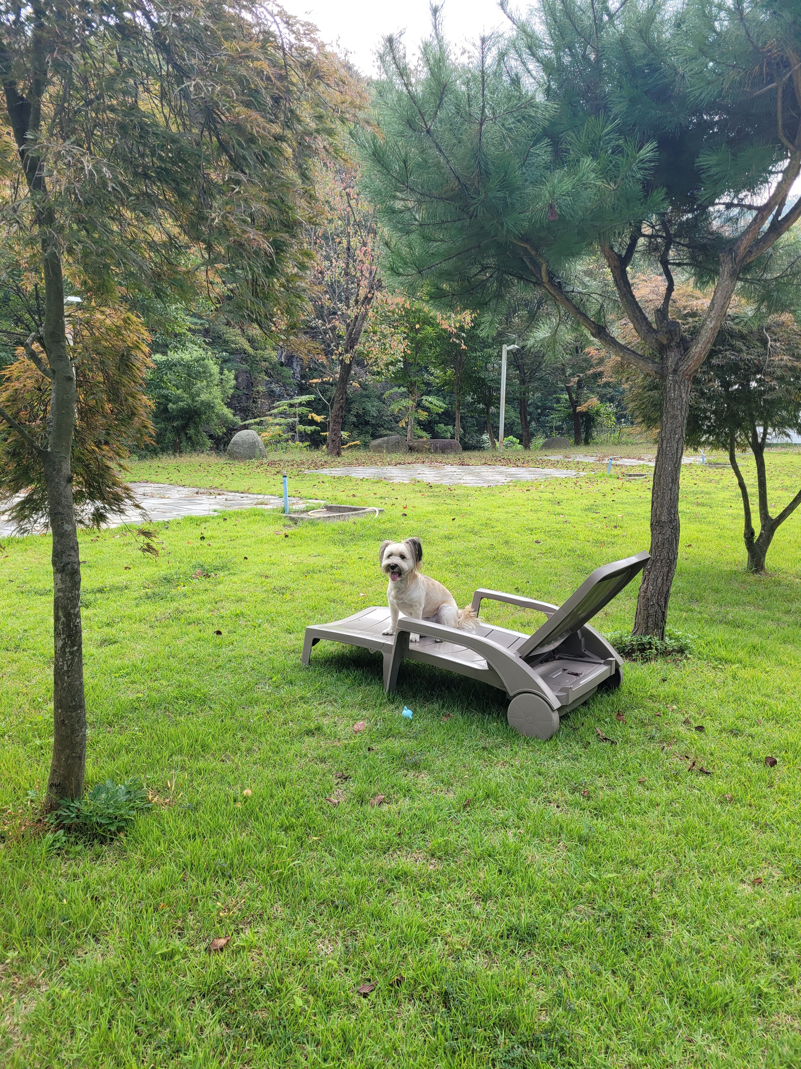 https://yaimg.yanolja.com/v5/2025/09/11/08/68c284d9a7a3d5.07627447.jpg