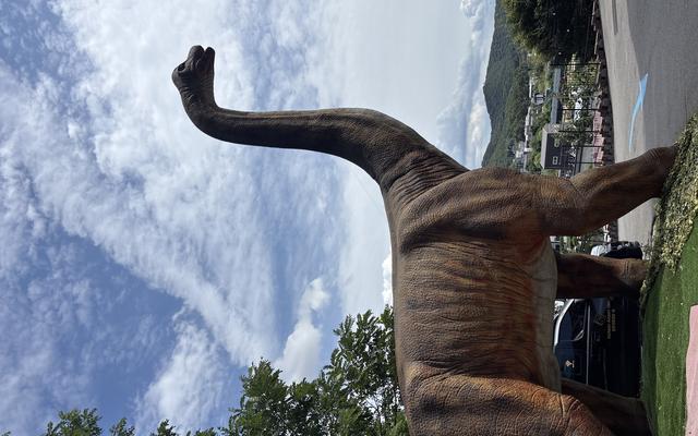 리뷰 대표 이미지