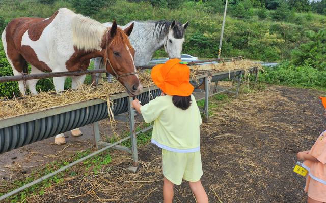 리뷰 대표 이미지