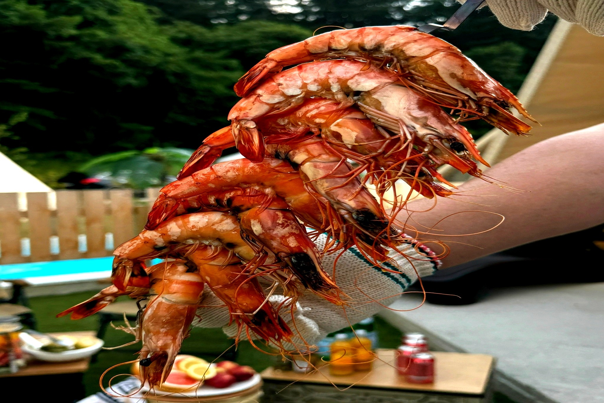 https://yaimg.yanolja.com/v5/2025/09/17/00/68ca06ef54ce37.22520620.jpg