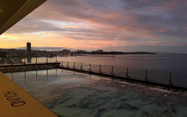 포항 하운드 포항송도해수욕장