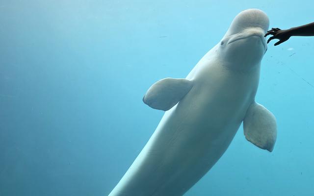 리뷰 대표 이미지