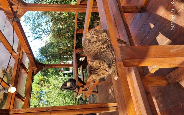 리뷰 대표 이미지