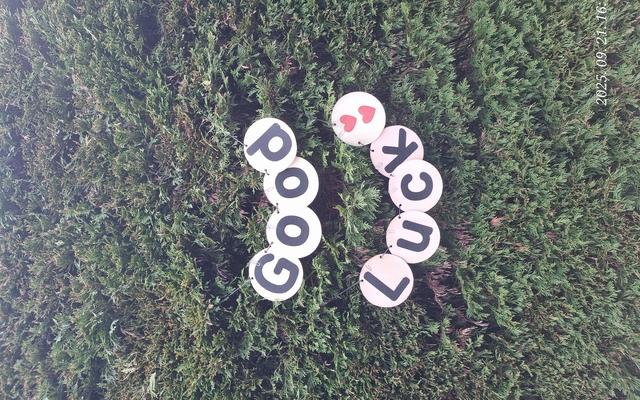 리뷰 대표 이미지