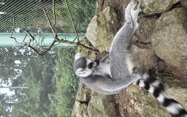 리뷰 대표 이미지