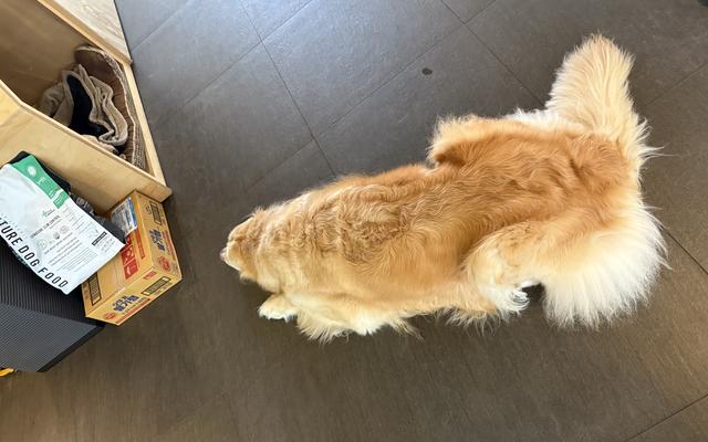 리뷰 대표 이미지