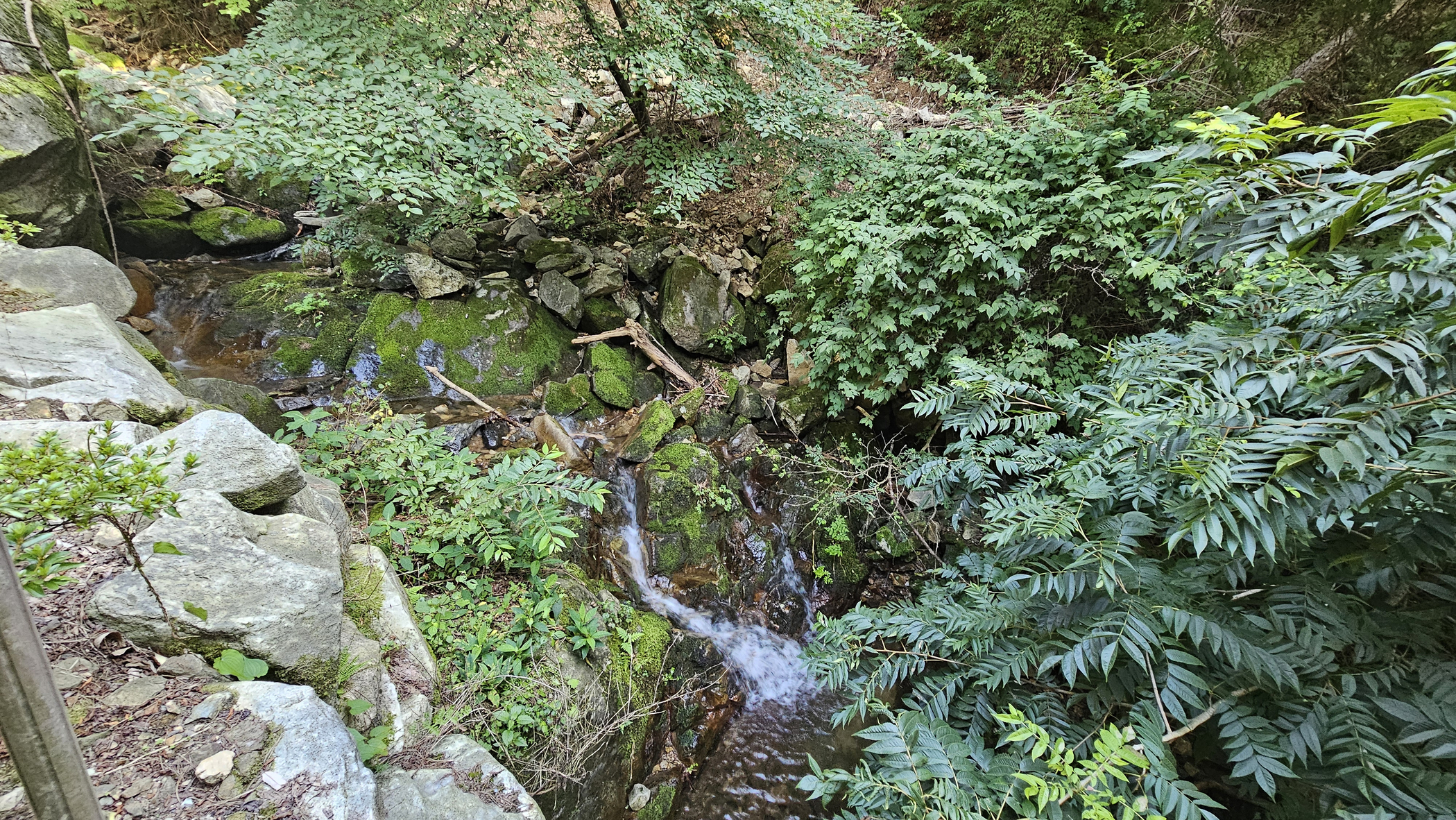 https://yaimg.yanolja.com/v5/2025/09/29/06/68da2257ed3732.82244031.jpg