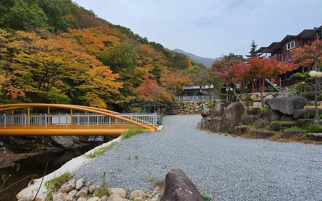광양 다람쥐숲으로펜션