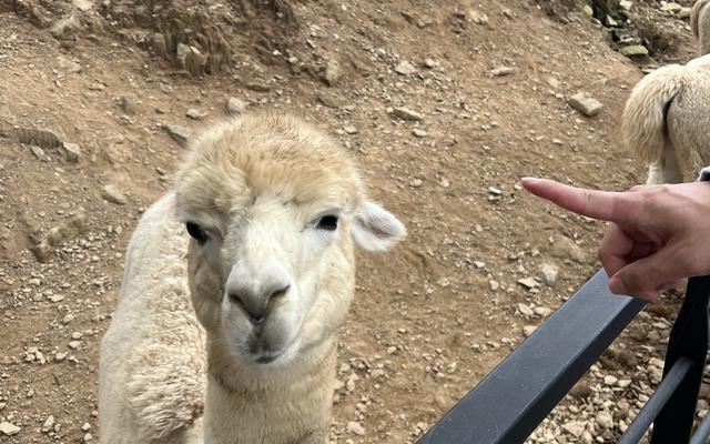 리뷰 대표 이미지