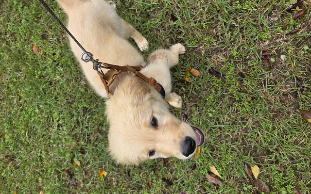 썸네일_3