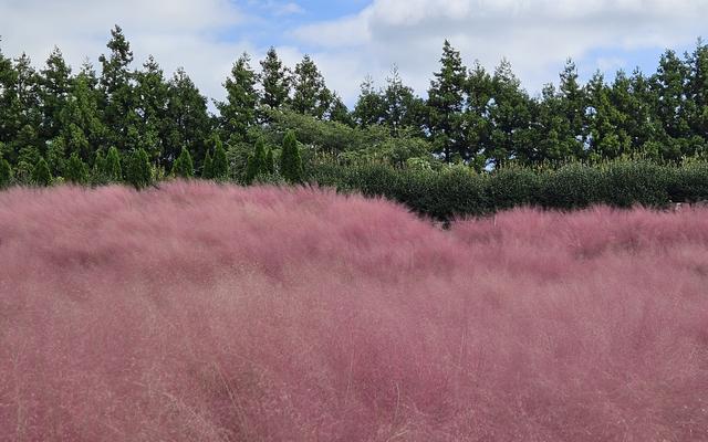 리뷰 대표 이미지