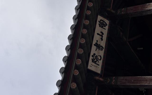 리뷰 대표 이미지