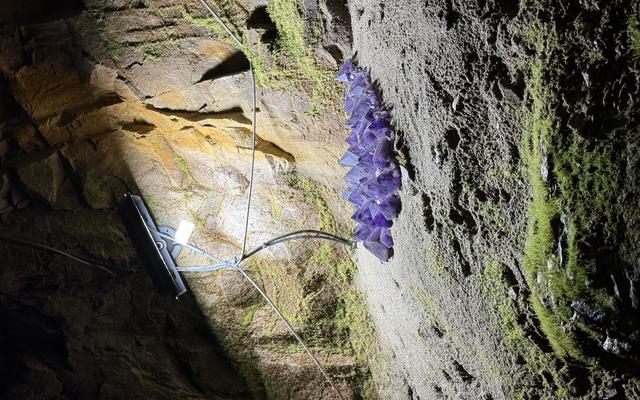 리뷰 대표 이미지