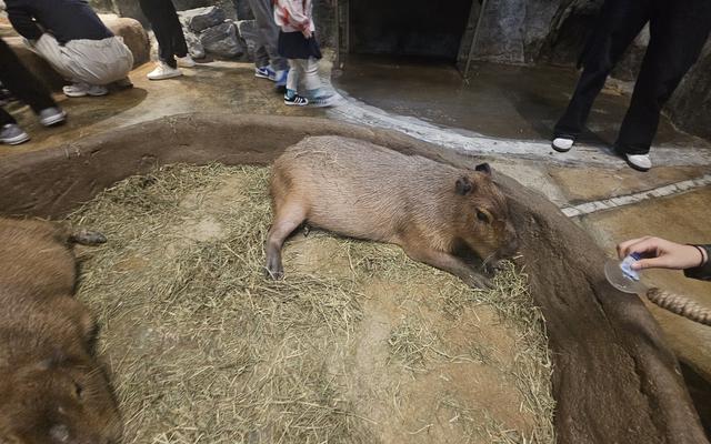 리뷰 대표 이미지