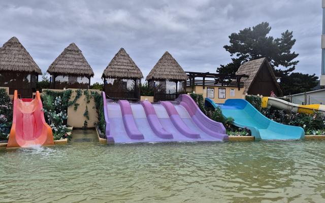 리뷰 대표 이미지