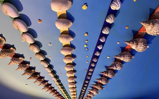 리뷰 대표 이미지