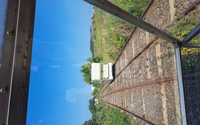 리뷰 대표 이미지