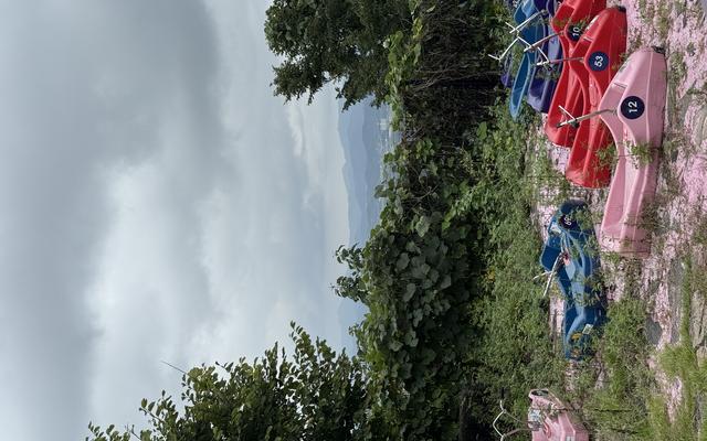 리뷰 대표 이미지