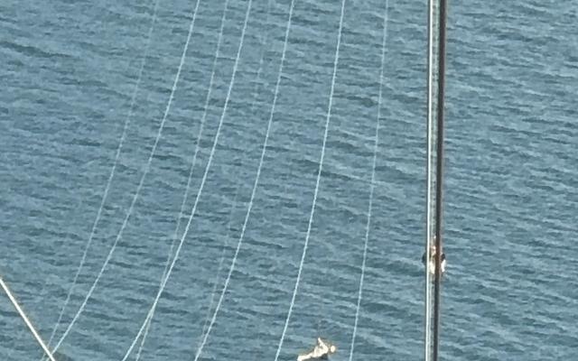 리뷰 대표 이미지