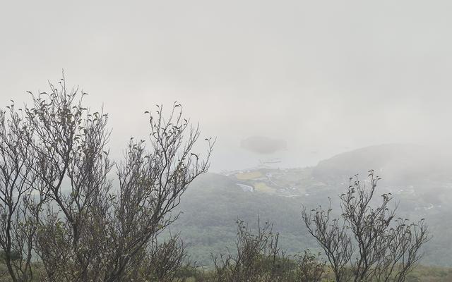 리뷰 대표 이미지