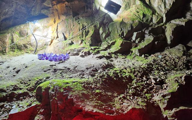 리뷰 대표 이미지