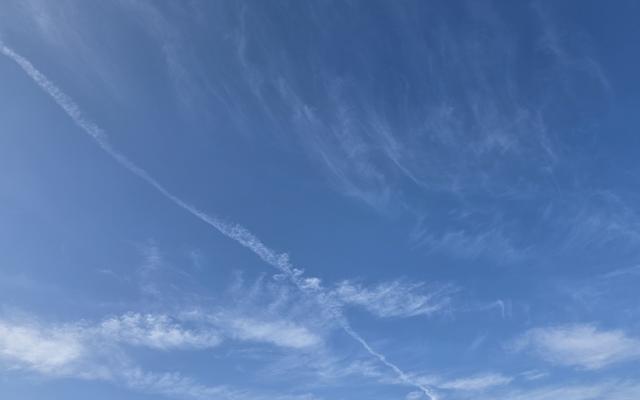 리뷰 대표 이미지