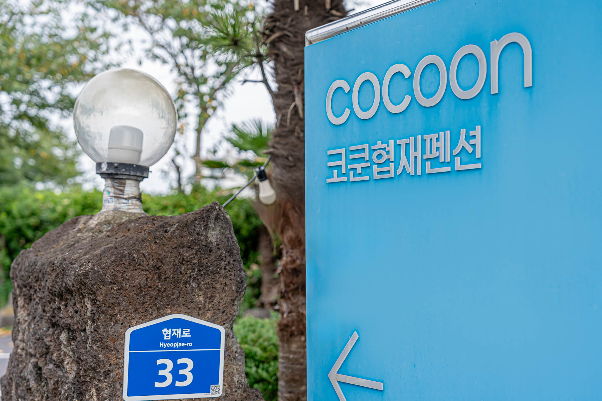 제주 협재코쿤스테이 이미지 9