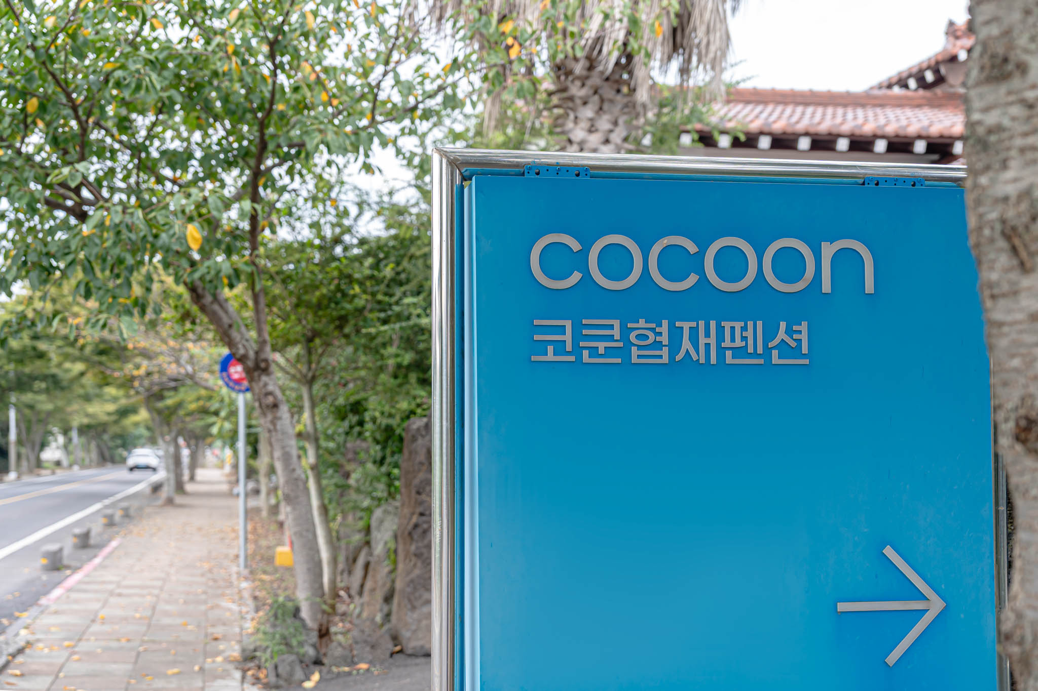 제주 협재코쿤스테이 이미지 5
