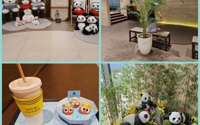 리뷰 대표 이미지