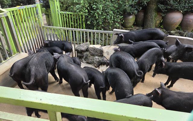 리뷰 대표 이미지