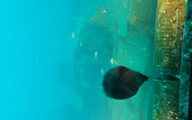 리뷰 대표 이미지