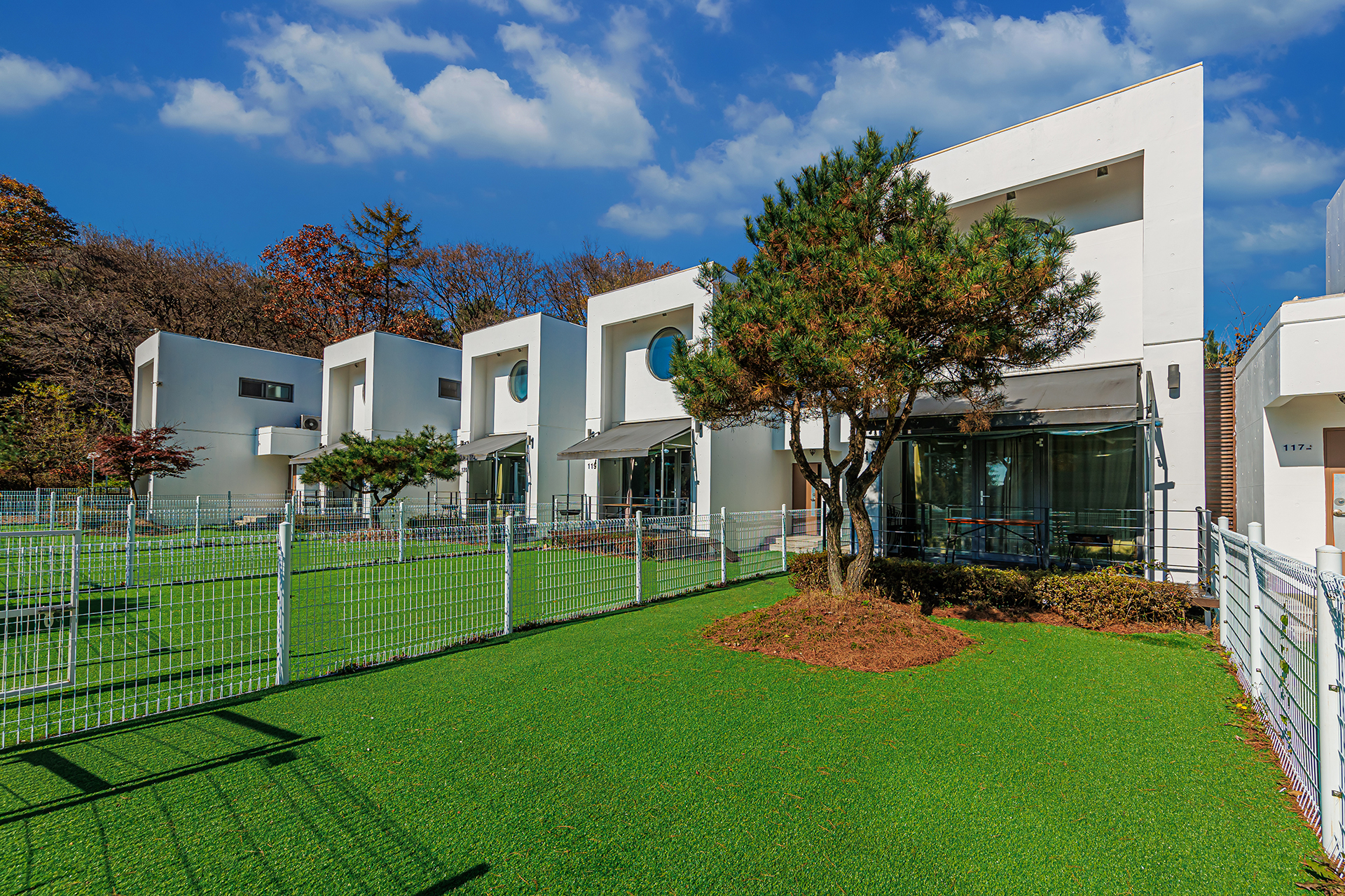 퍼피독채스파(개별펜스개별운동장)118호