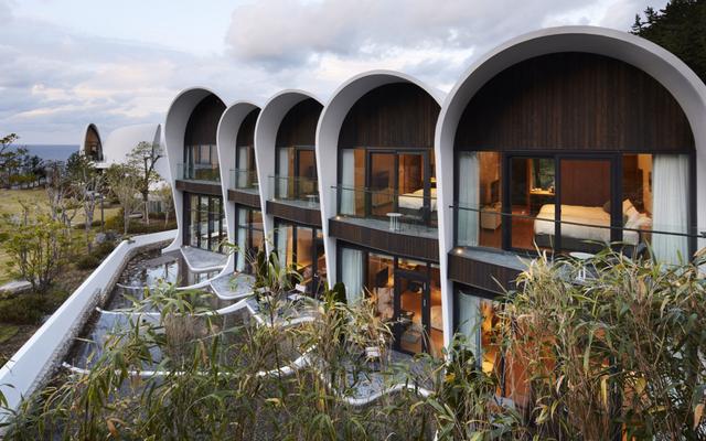 코스모스 울릉도 빌라 떼레