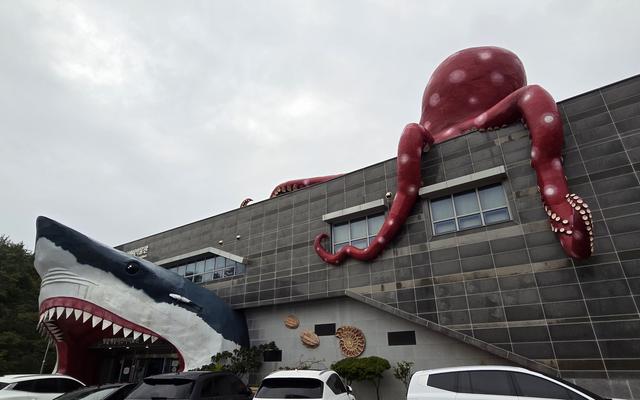 리뷰 대표 이미지