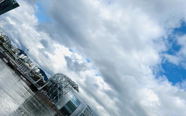 리뷰 대표 이미지