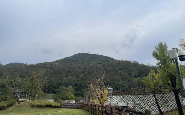 리뷰 대표 이미지