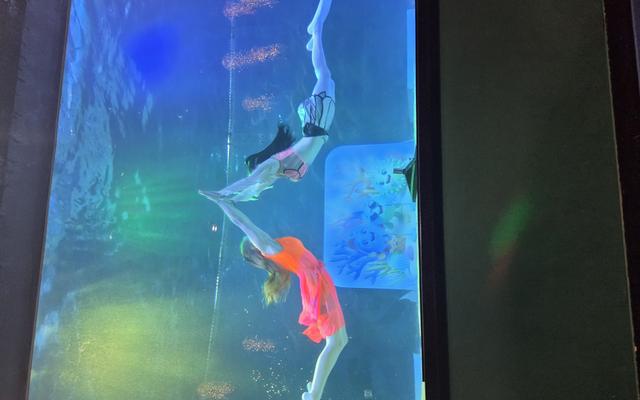 리뷰 대표 이미지