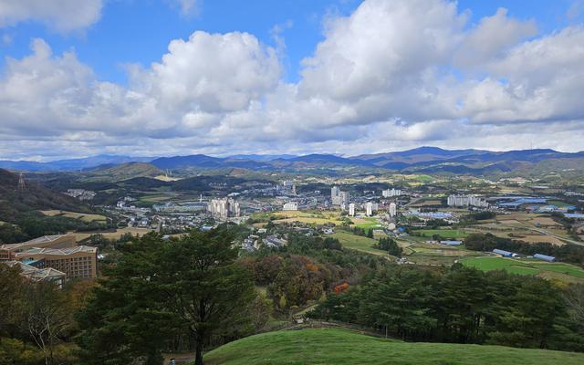 리뷰 대표 이미지