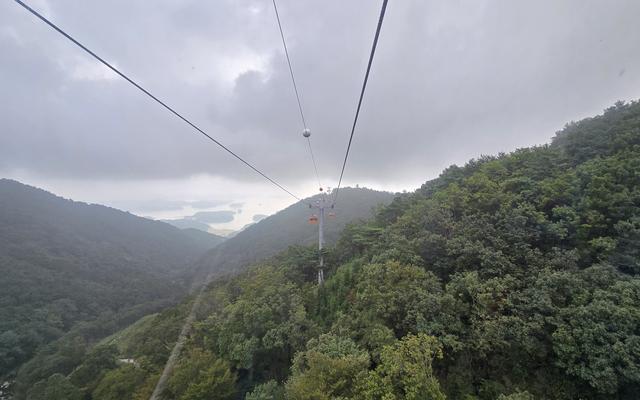 리뷰 대표 이미지