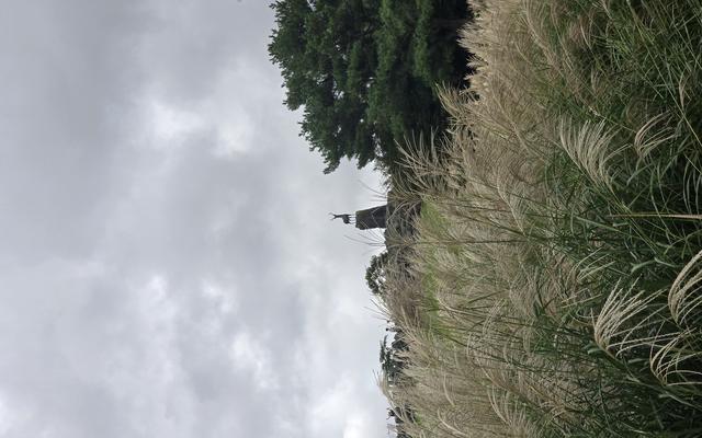 리뷰 대표 이미지