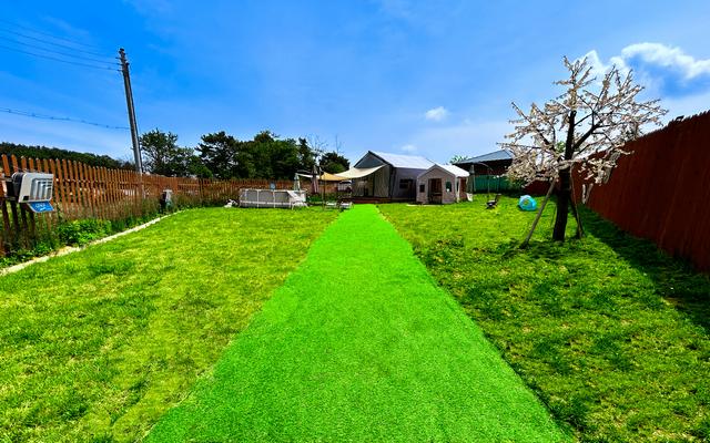 당진 도그팰리스 애견글램핑